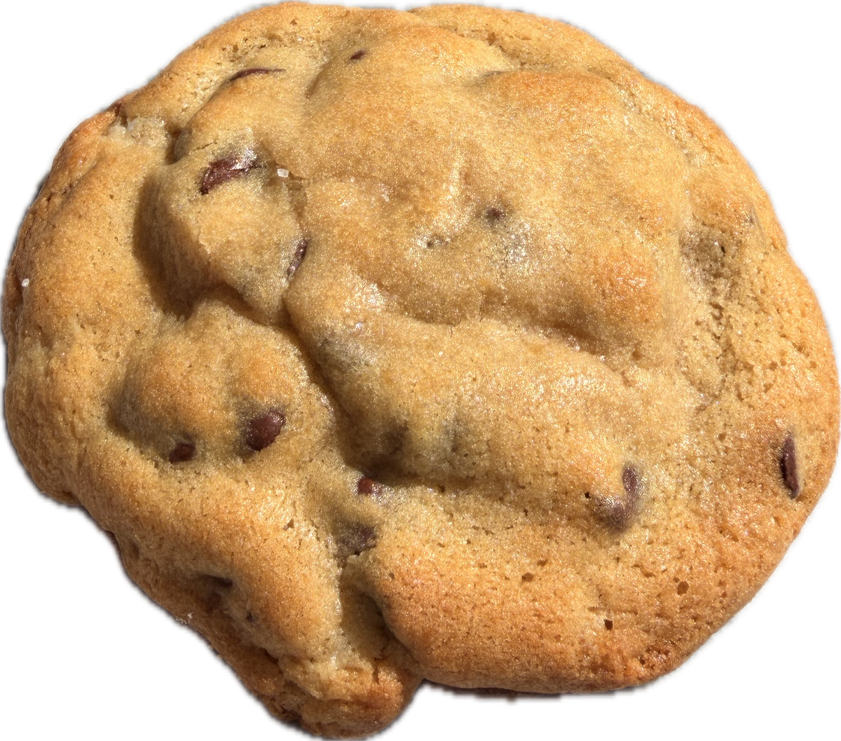 CinnaBOMB Cookie